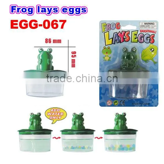 Magic Water Growing Frog Toys/Crazy Frog Toy