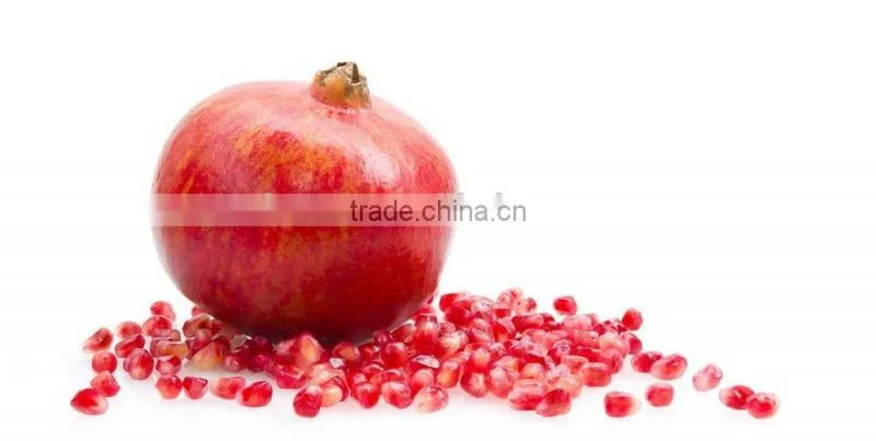 Hot Sale metal hand juicer, hand press juicer, hand operated juicer,Brght Star main products