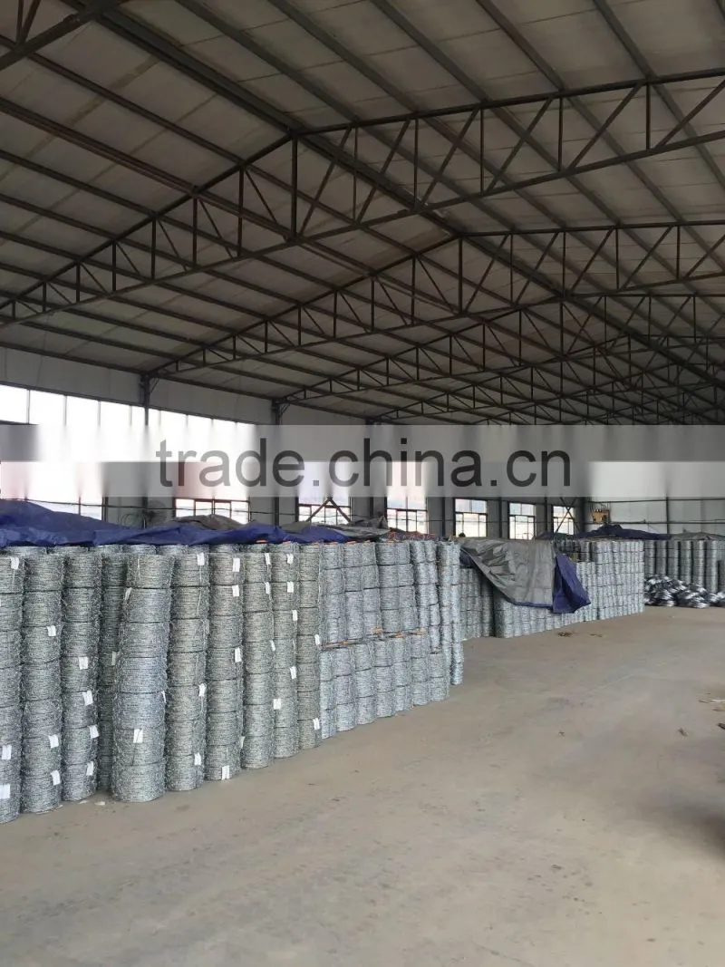 Burma salable Hot Selling Good price razor barbed wire/razor wire