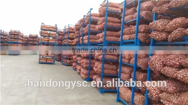 2016 new crop peeled fresh garlic clove