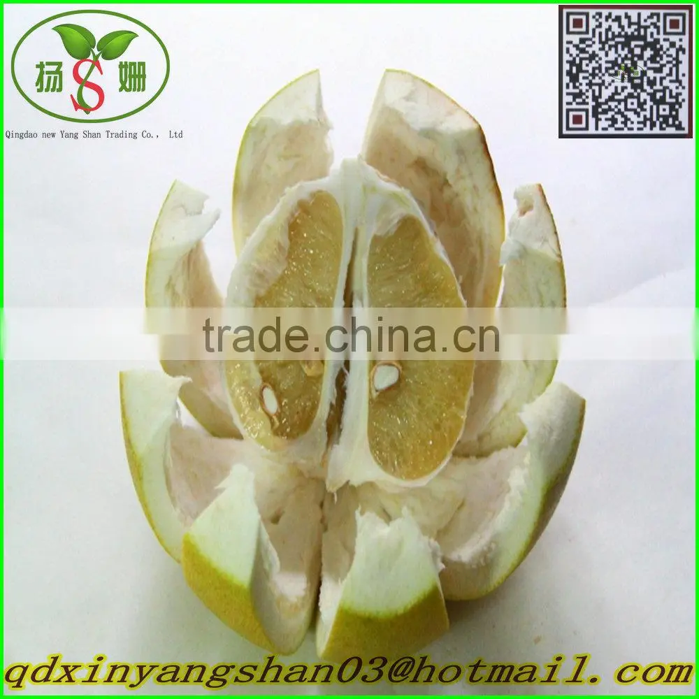 Fresh sweet pomelos/ Fresh pomelo