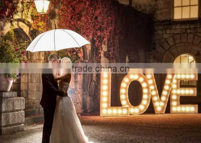 ACS White light led bulbs frontlit love 3d letters