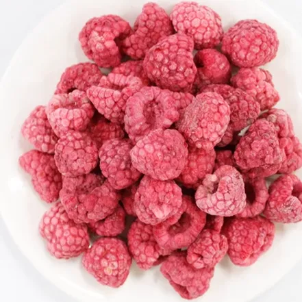 Industrial Freeze Dryer for Fruit and Vegetable on Sale Freeze-dried Mangoes Freeze-dried Raspberries Production Line