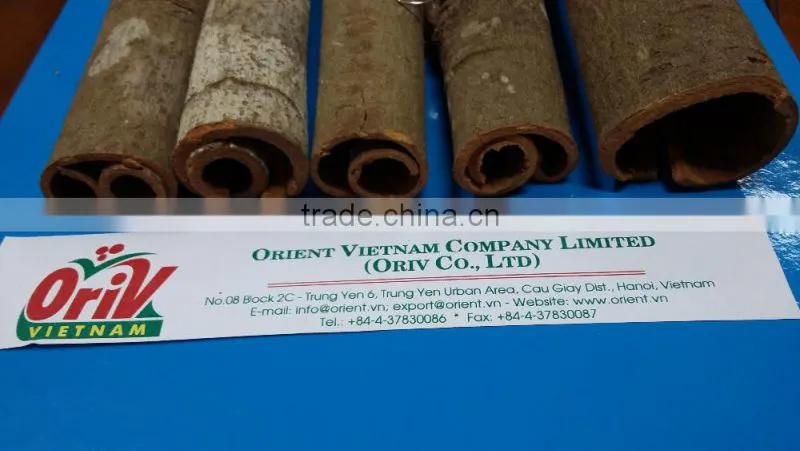 SCROLL CUT CASSIA with BEST PRICE & HIGH QUALITY