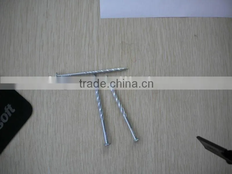 galvanized twisted shank nails factory