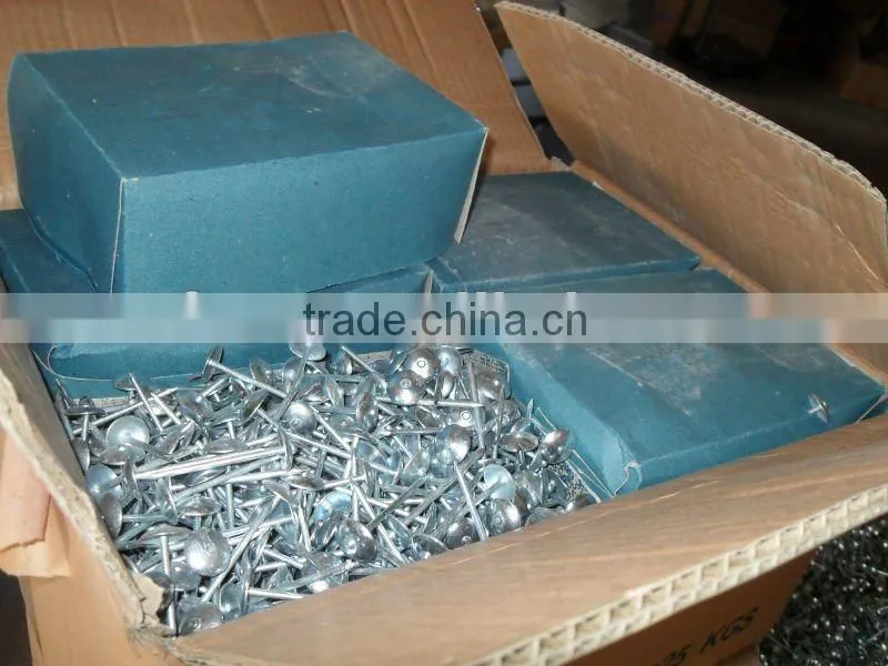 electro galvanized twisted shank roofing nails