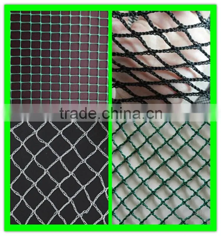 High quality garden used white anti bird net from Henan