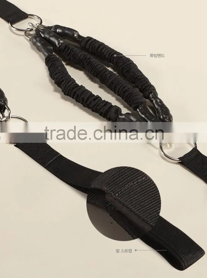 CHINNIGN ASSIST TUBING BAND SET/ Gym Equipment/ Rack