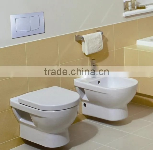 Bathroom ABS Dual Flush Control Plate for Concealed Cistern Made in China