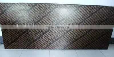 18MMX1220X2440 competitive price commercial plywood