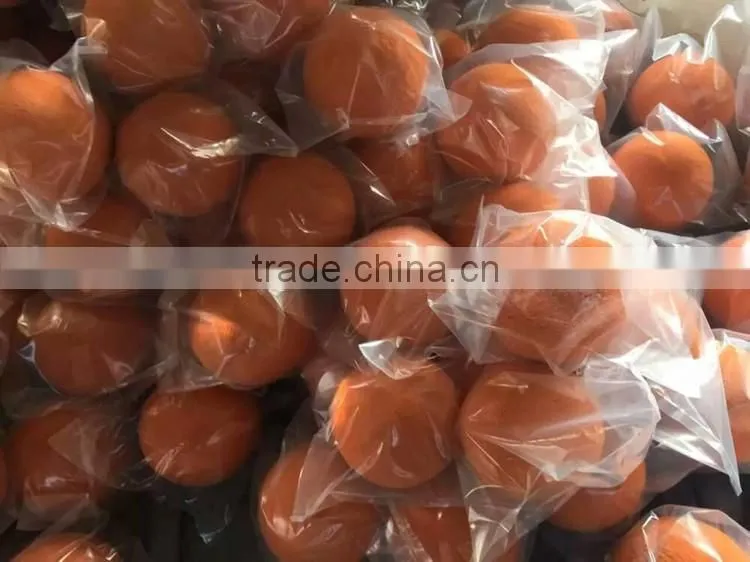 4 inch clean out ball for washing out pump pipe