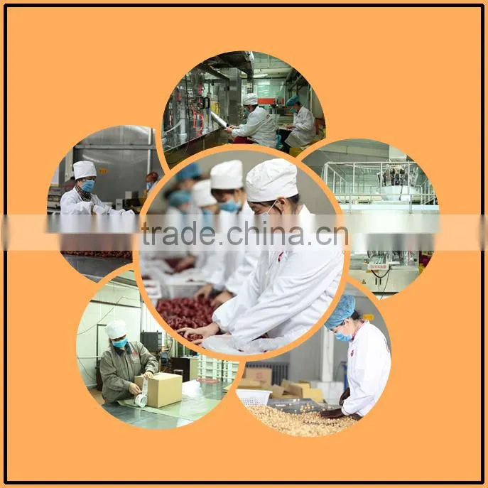 2015 xinjiang Turpan green raisins dried grapes