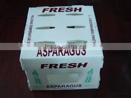 Asparagus corrugated plastic packaging box
