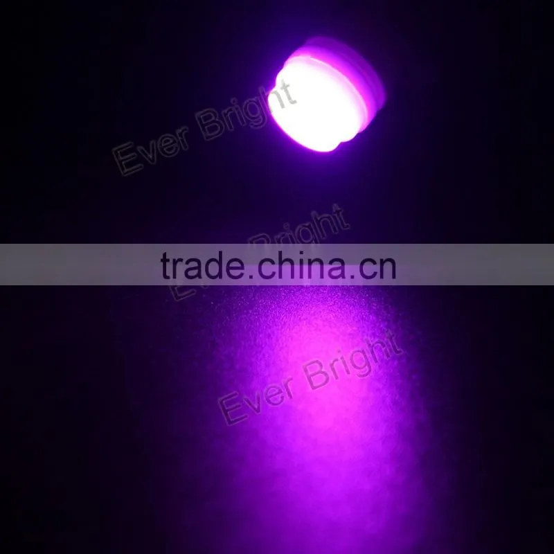 Everbright lighting auto led lights for cars 2smd 5630 T10 car led ceramic light