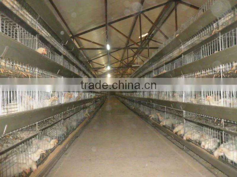 Slaughter house