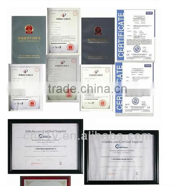 Hot! 2g ceramic ozone generator for drinking water