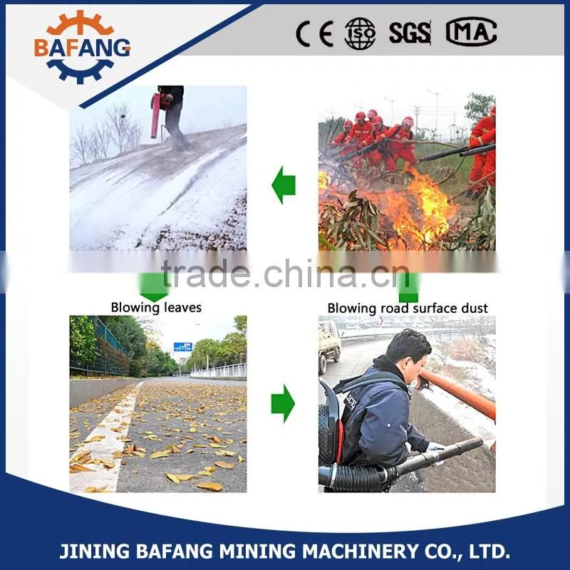 Hand-held snow/ leaf blower