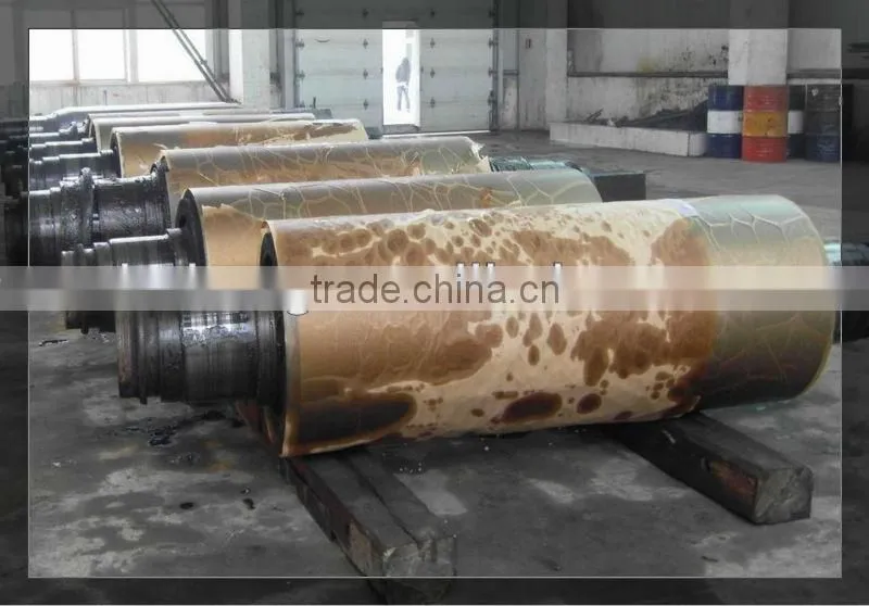 Stainless Steel Cast Roller