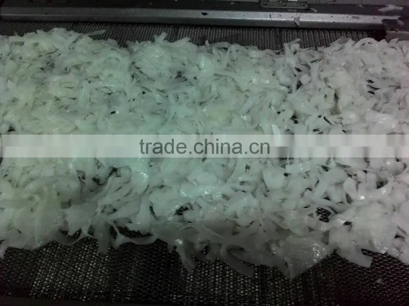 Coconut chips Multiple layer continuous type mesh belt dryer