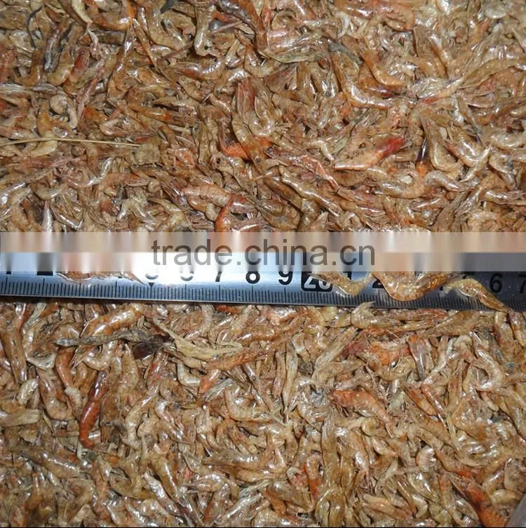 High protein freshwater dried shrimp // turtle food shrimp