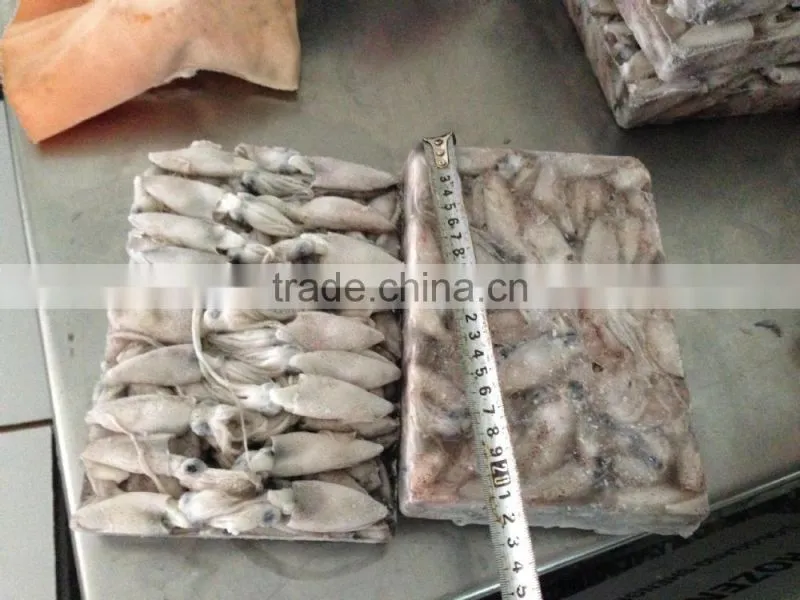 IQF/block baby squid loligo japonica