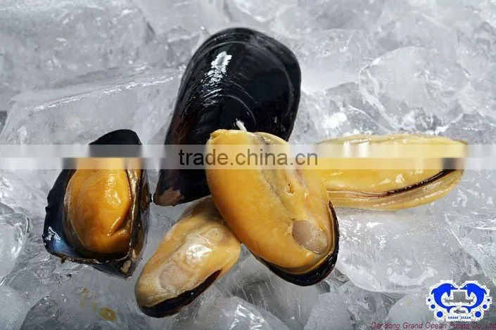 bleu mussel with half shell