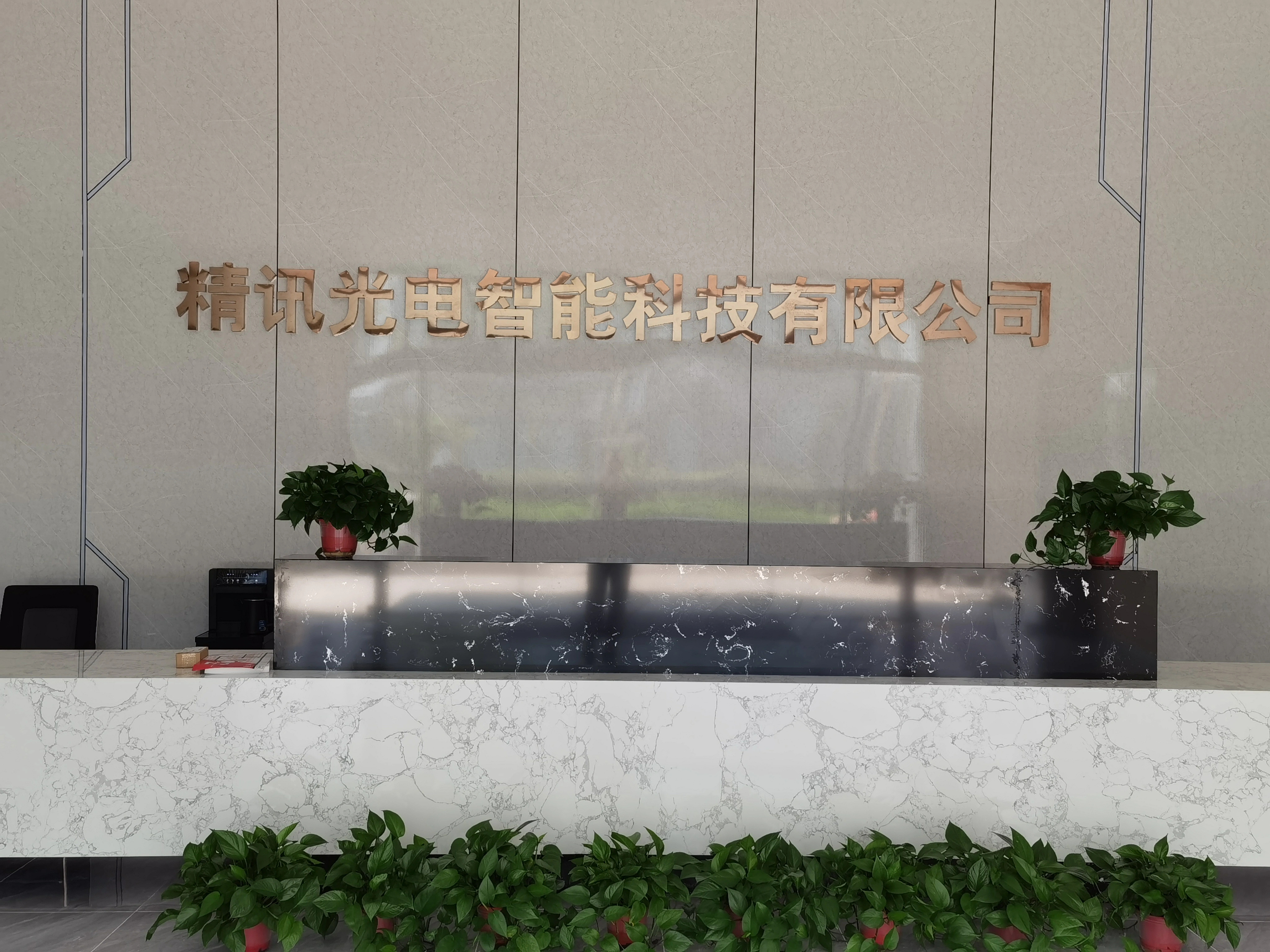 Jiangsu Jingxun Optoelectronic Intelligent Technology Co., Ltd company overview - view 1