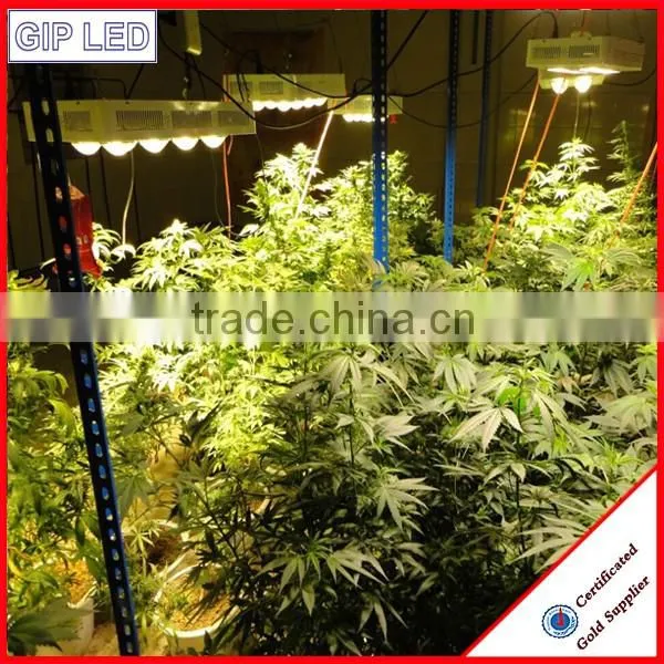 light bulbs led grow lighting uk