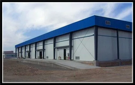500T Cold Storage Warehouse for Storing Perishable Products