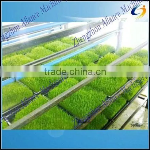 Automatic hydroponic barley fodder seeds planting machine for poultry,Cattle Sheep Horse Animal Livestock