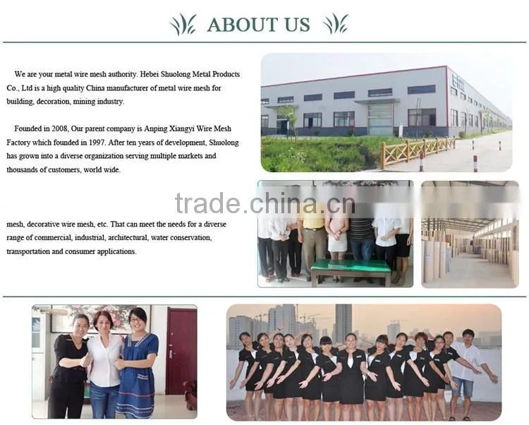 Euro Welded Wire Mesh Roll Garden Fence