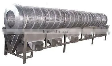 Mushroom Grading Equipment