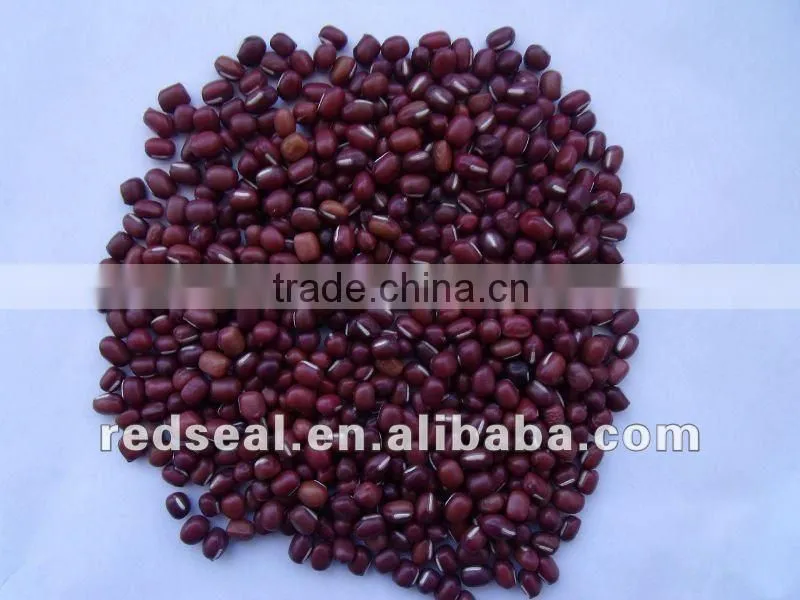 New crop dark red kidney beans