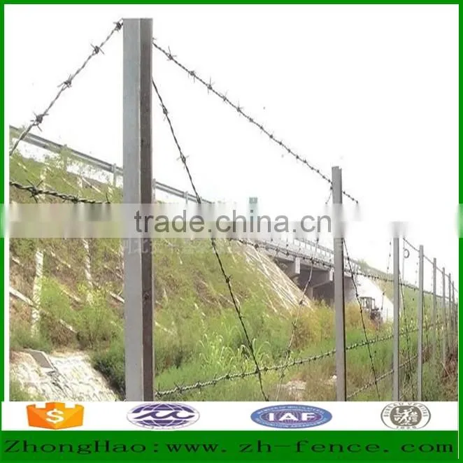 Hot dipped galvanized PVC coated high quality Barbed Wire Fence