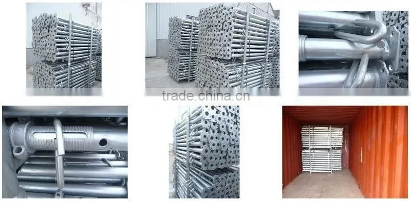 china gold supplier produce shoring prop nut