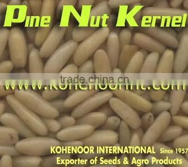 Pine Nuts