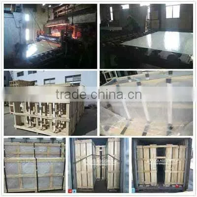 3-12mm ISO&CE Accredited Tinted Float Glass