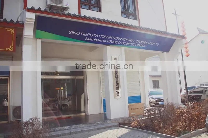 Promotional pp handle durable nice pp shopping bag
