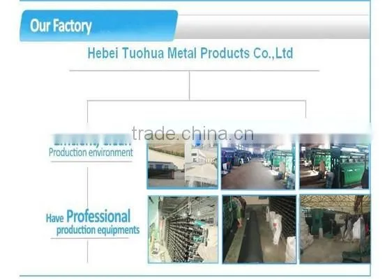 High Quality Plastic Cap Nails for Building Use