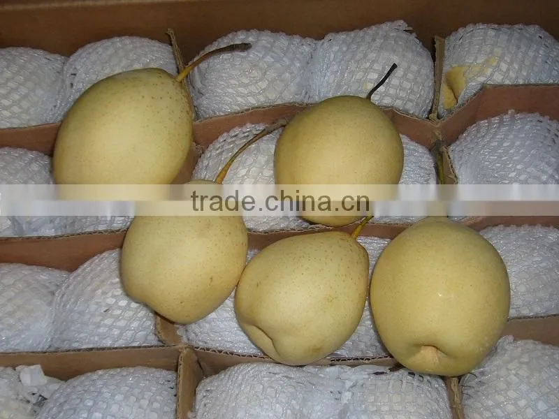 Ya pear middle east