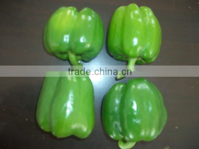 Chinese Fresh Bell Pepper
