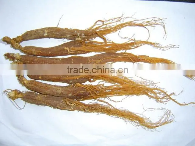 Panax Ginseng Tails