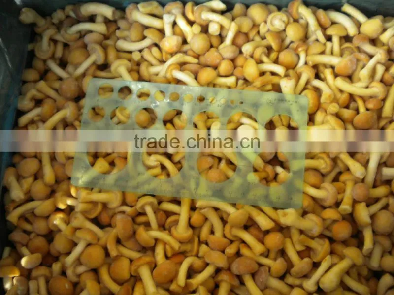 Frozen mushroom nameko