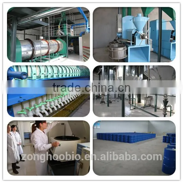Conjugated Linoleic Acid/Safflower seed extract Shandong factory