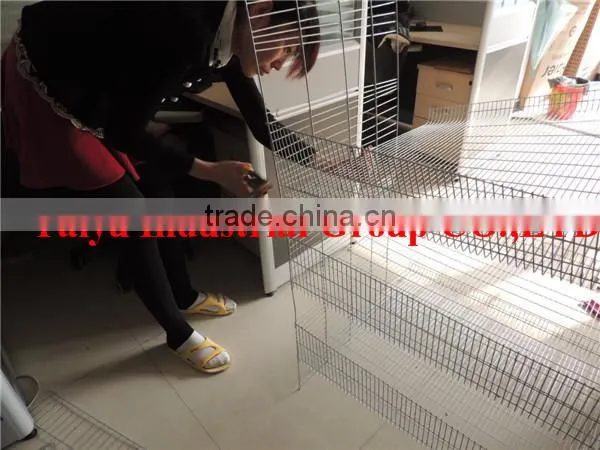 TAIYU Foreign Agent Farm Quail Visit Customers Every Year