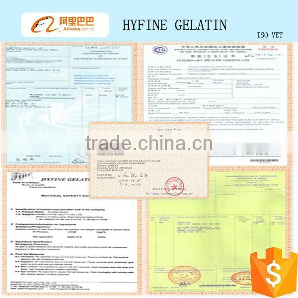 bodybuilding supplements protein/ hydrolyzed collagen powder