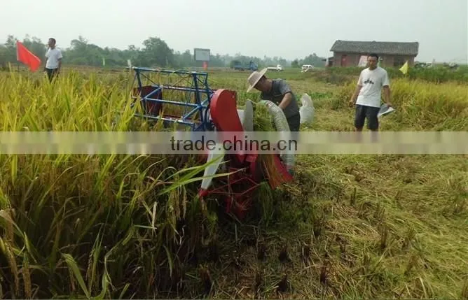 Professional mini combine harvester