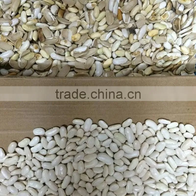 Color sorter for grain,seeds,rice grand selection