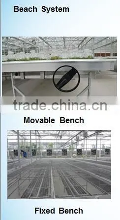 Good qulity greenhouse nursery seeding bed