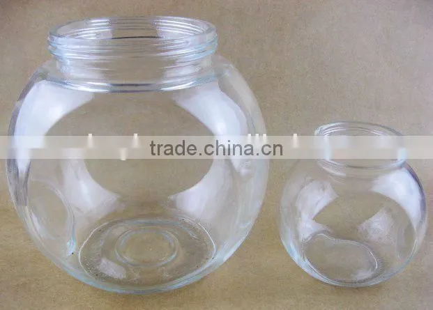 clear glass fish tank /fish bowl